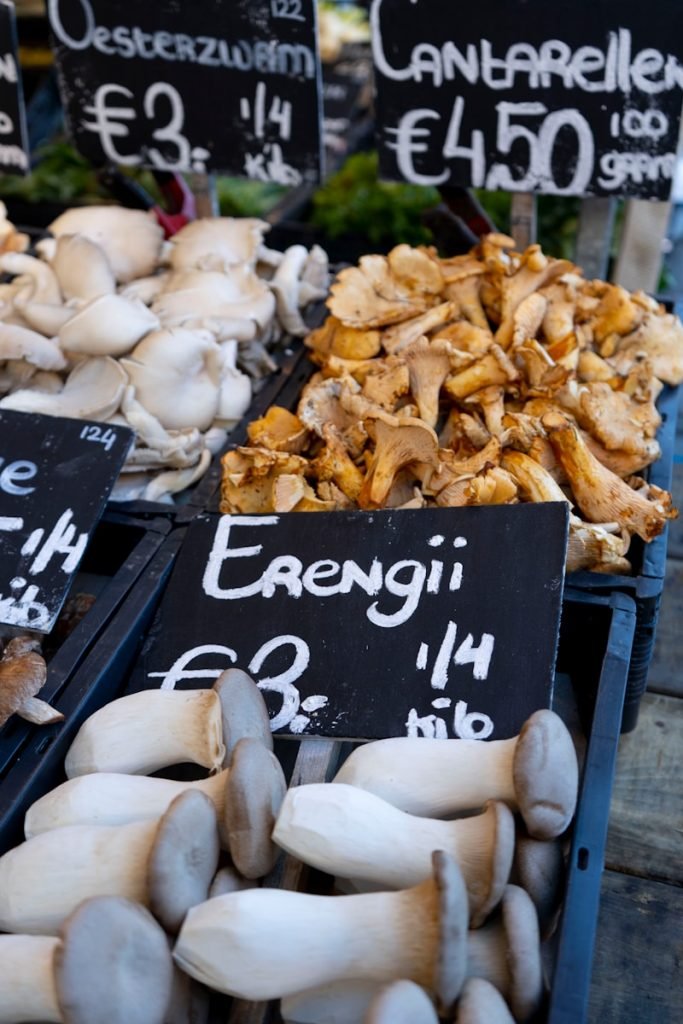 a bunch of different types of mushrooms for sale