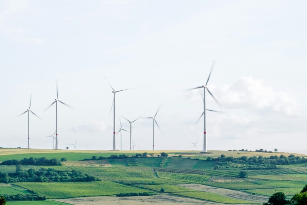 windmill surrounded by grass during daytime