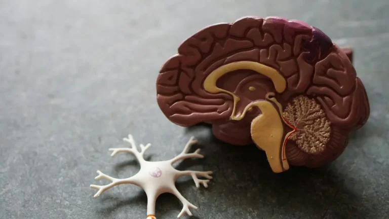 Exercise and the Brain